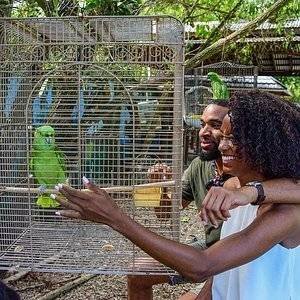 Bird Sanctuary